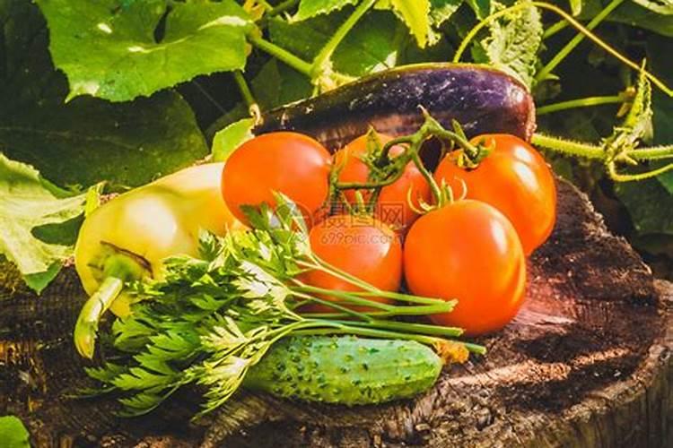 医生有新发现!经常食用黄瓜的人,不久后可能会出现哪3种变化？