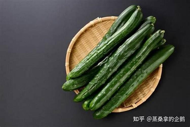 黄瓜需要哪些矿质营养