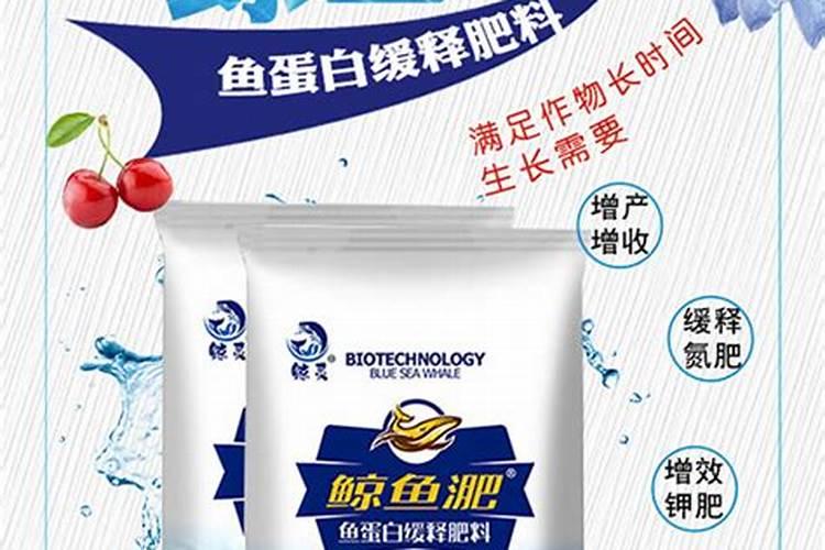 鱼蛋白有什么作用