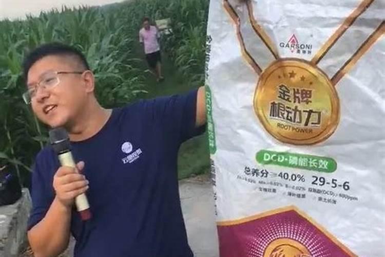 玉米钾肥的正确使用方法