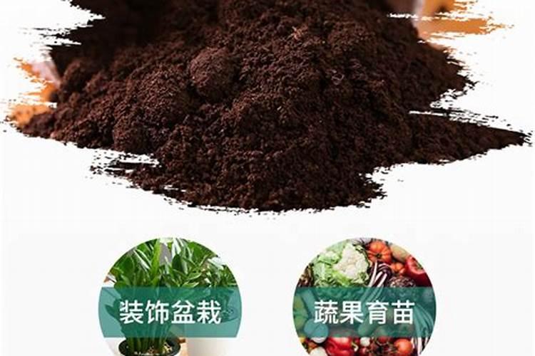 栽黄瓜苗的时候适合用什么样不为人知的肥料
