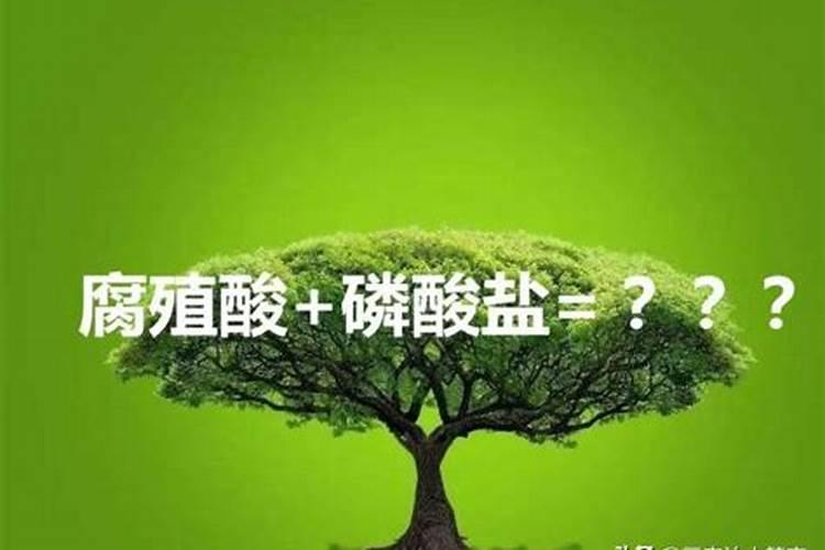 硝酸磷肥可以和含有腐殖酸复合肥一起用吗？