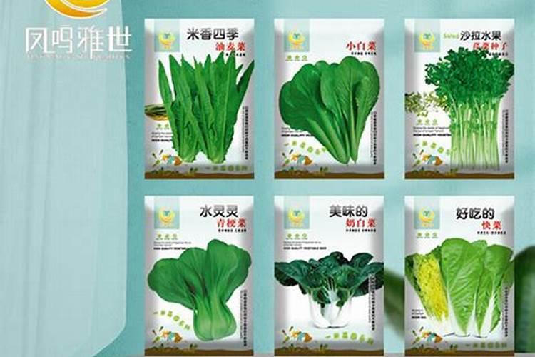 青菜种下去以后,具体怎么施肥呢？