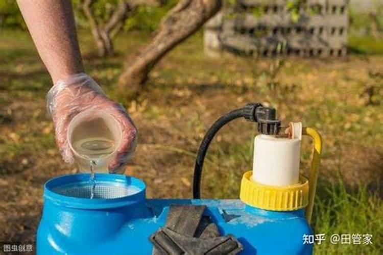 茄子什么情况求解决办法