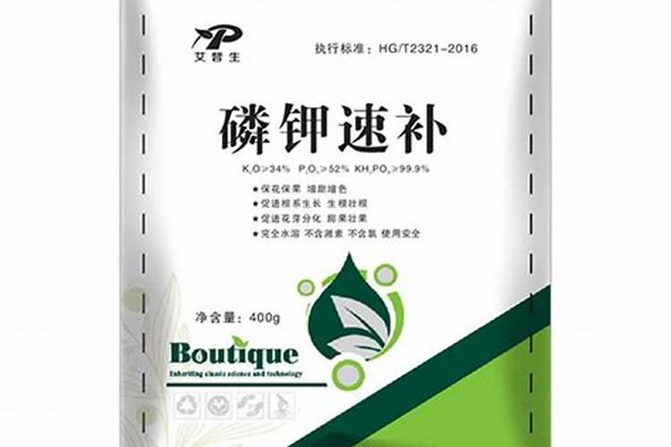 碧玉施什么肥最好