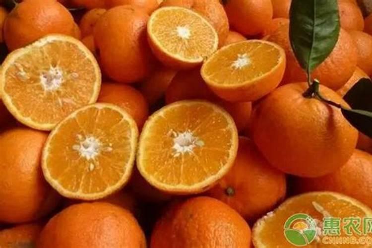沃柑刚种发芽怎样施肥