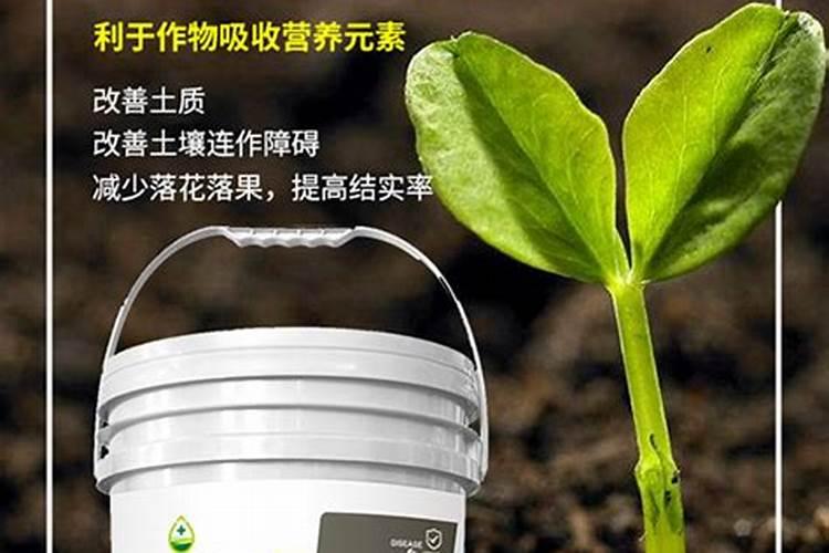 碱性土壤改良剂