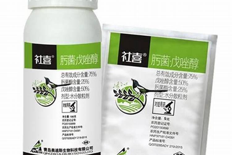 小麦抽穗扬花期管理技术与措施