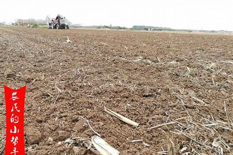 磷肥的最佳使用时间及用量