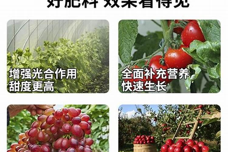 果树种植中的水溶肥怎么样才算好？