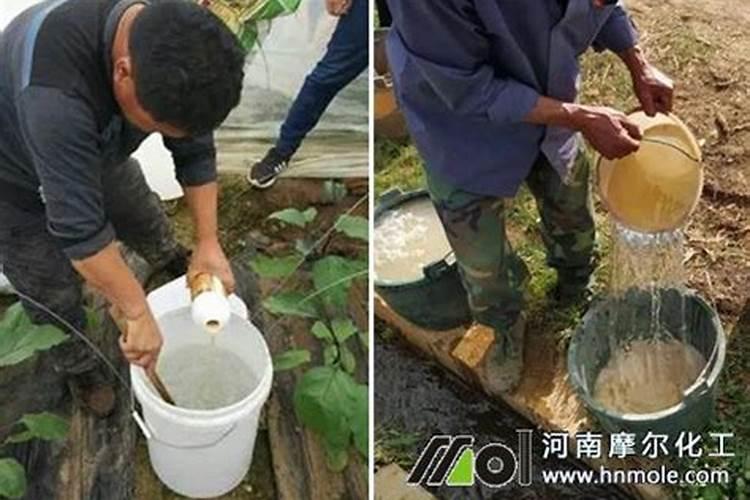 水溶肥的使用方法