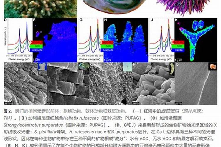 过期碳酸钙D3片可以给绿萝做肥料吗？