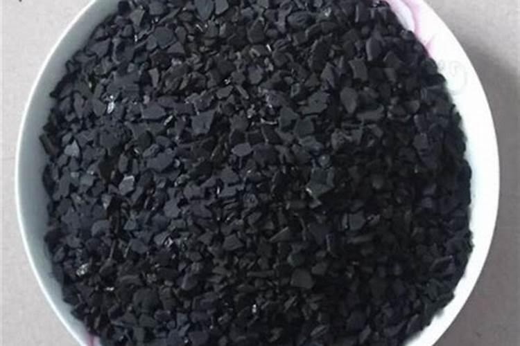 绿萝可以吸附甲醛吗？