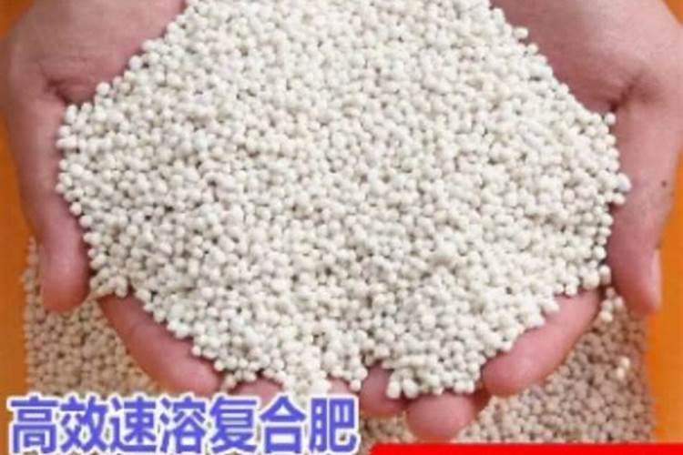 往花盆里加了木炭灰会,植物根烂掉了