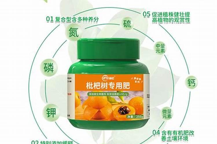 枇杷施肥用什么最好