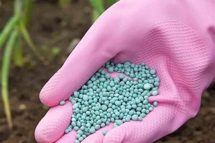 磷肥多久用一次 磷肥用量及使用频率推荐