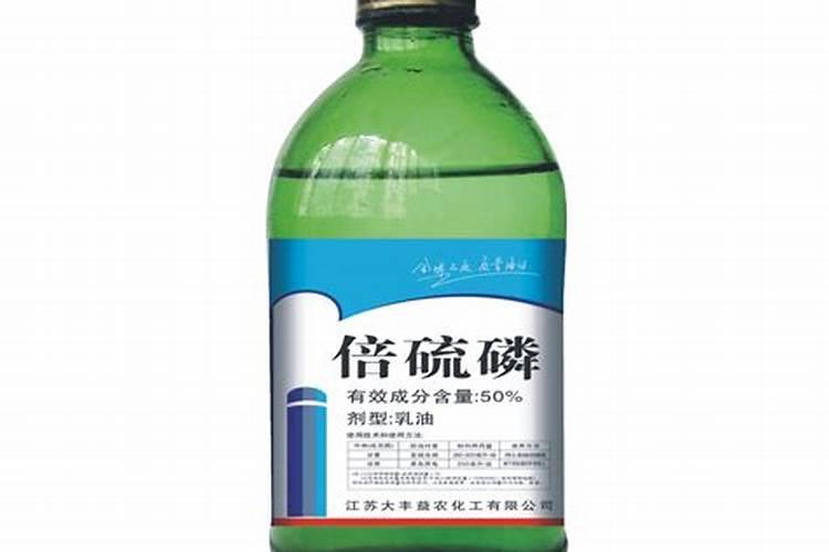 交城梨枣属于哪里的特产