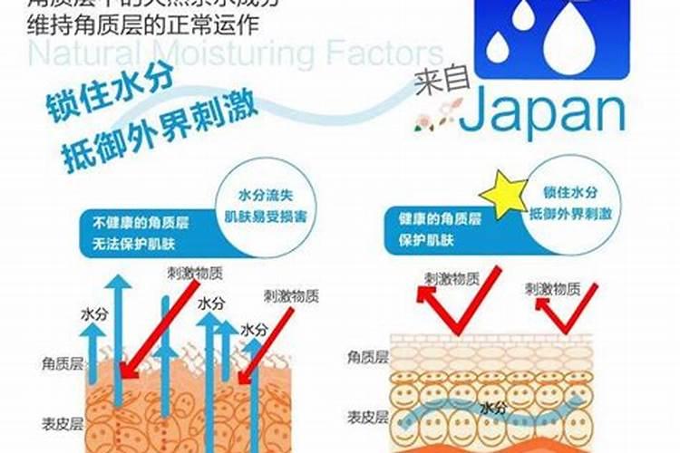 油橄榄的种植条件和育苗？