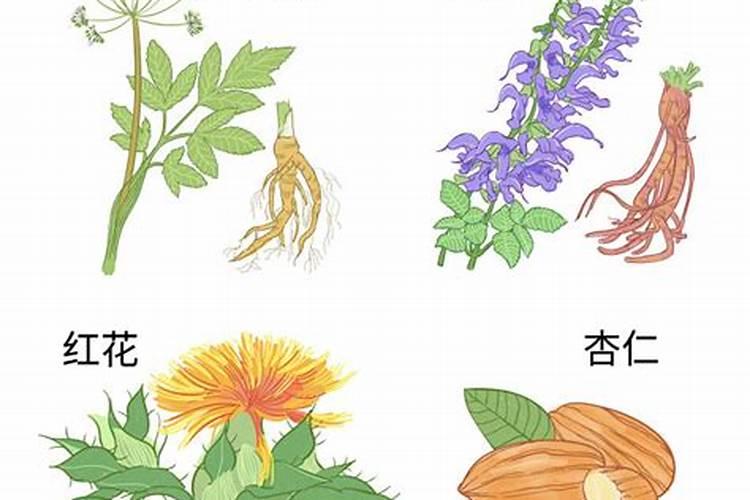 盆里撒把粉面儿,花吃了蹭蹭长,比10瓶营养液还厉害!