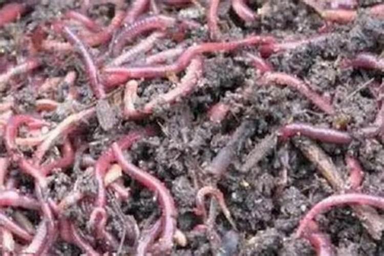 有哪些常见的农用化学品在土壤中残留并对土壤生物产生负面影响百度...