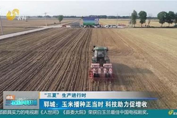 玉米专用叶面肥什么牌子好