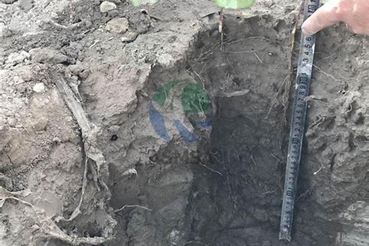 袋装大量元素水溶肥棉花叶面喷施用量