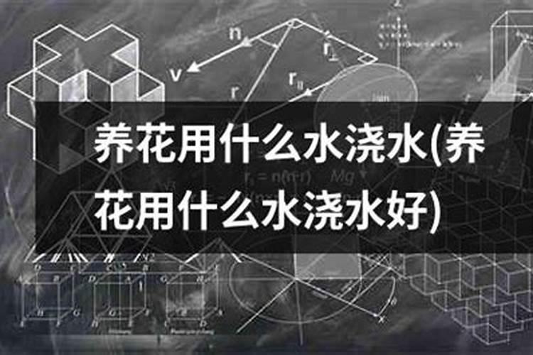 氮肥养花一克用多少水兑