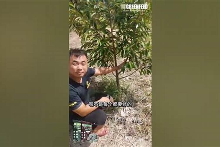 苹果树刚坐了小果,能用高钾肥吗？