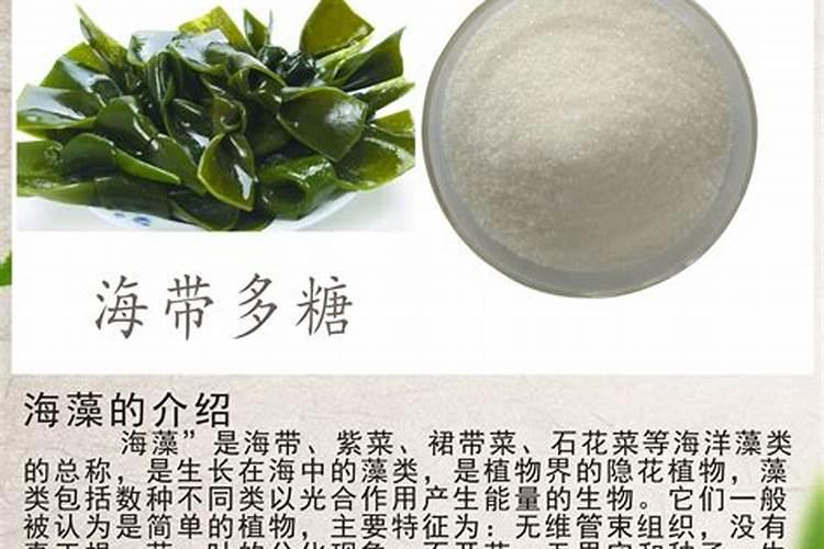 海藻肥的分类有哪些