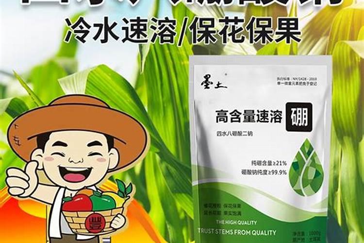 棉田怎样施用硼肥？