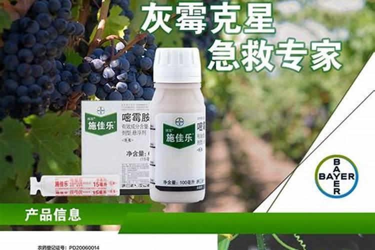 花生喷施硼肥的最佳时间