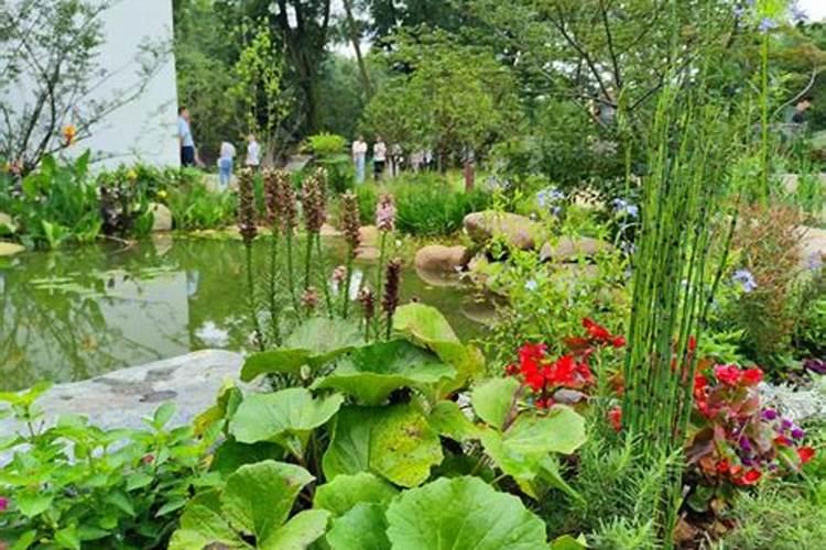 水溶肥相比于传统肥料有哪些优缺点？