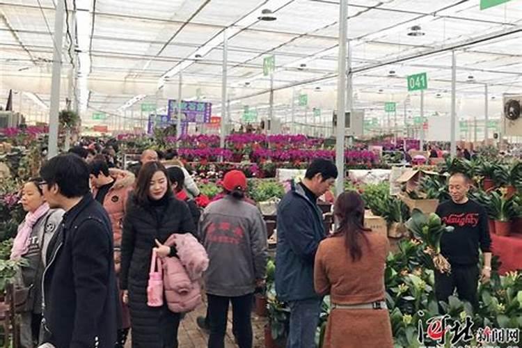 氨基酸水溶肥十大品牌