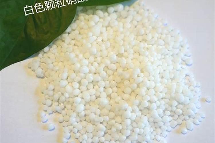 山西硝酸铵钙排名前四的厂家