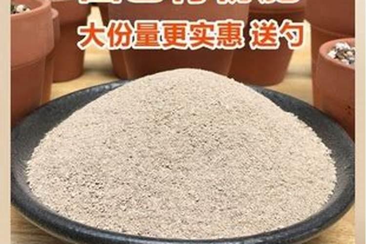 骨粉肥料适宜什么花栽种