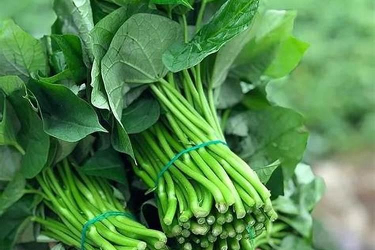 红薯宝宝喷施要不要加其他叶面肥