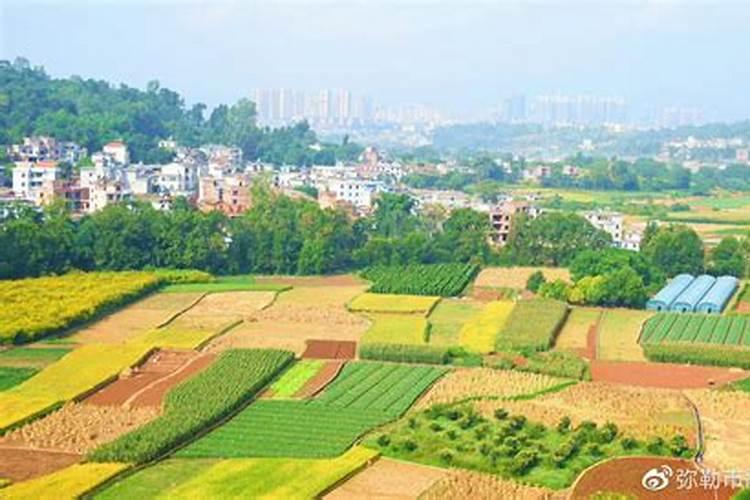 怎么配比玉米肥64%二胺46%尿素60%氯化钾10亩地应该怎么配比