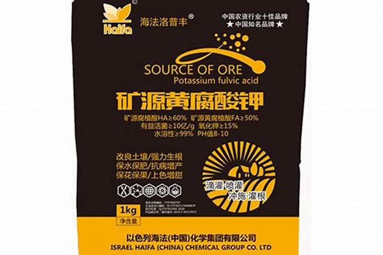 金边吊兰能放在卧室吗,有毒吗,在室内怎么养？(金边吊兰放屋里是对肺...