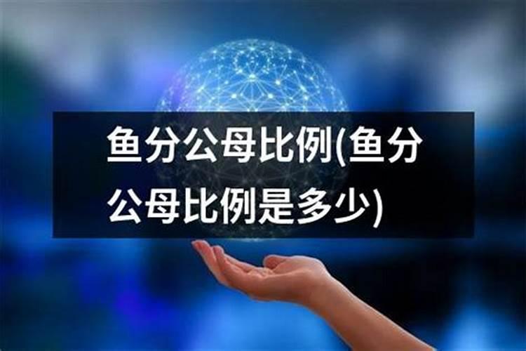 十斤水加多少克鱼蛋白原浆合适