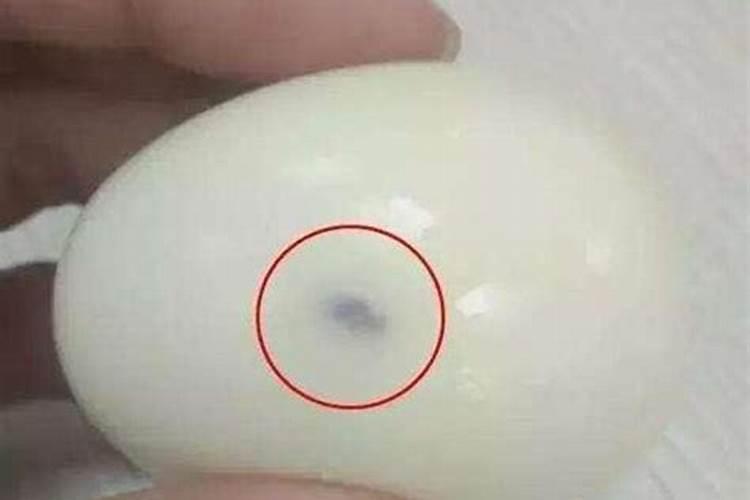 鱼胶原蛋白是什么
