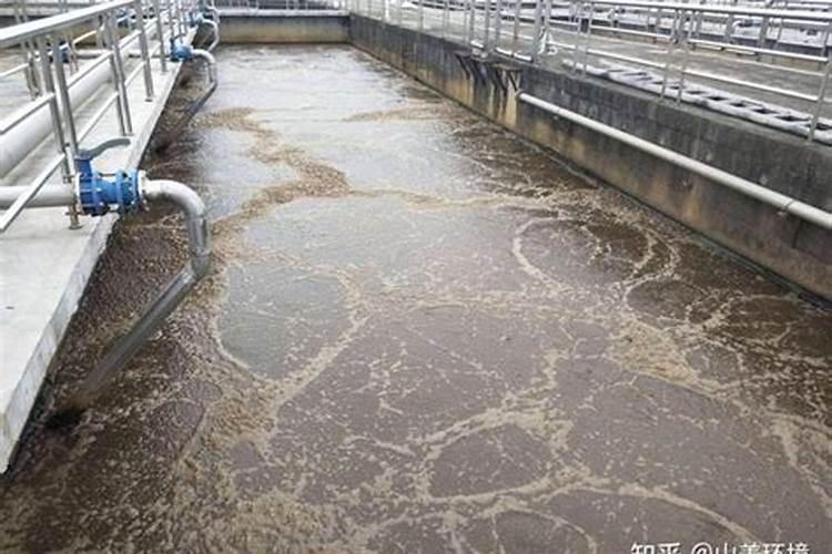 进水氨氮高是什么原因