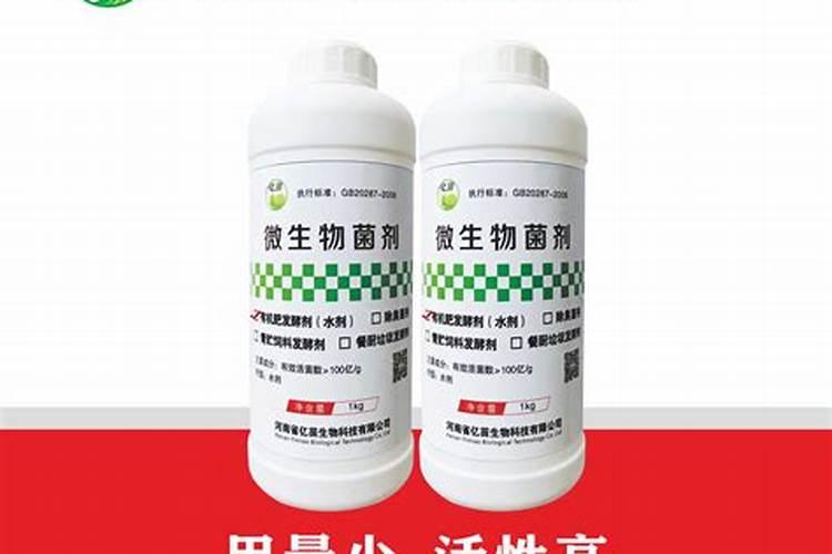 种的月季花撒了点肥料快烧死了,用什么办法可以补救过来
