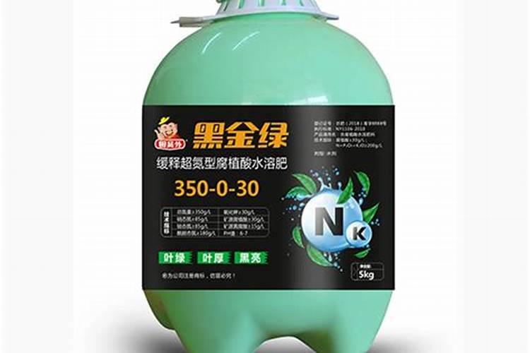 网红植物:各种各样的蔓绿绒及其养护技巧