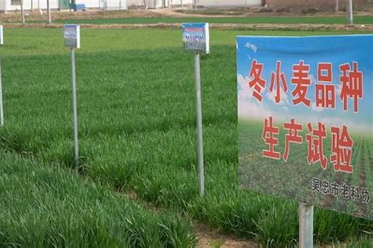 国内氨基酸水溶肥生产厂家有哪些？