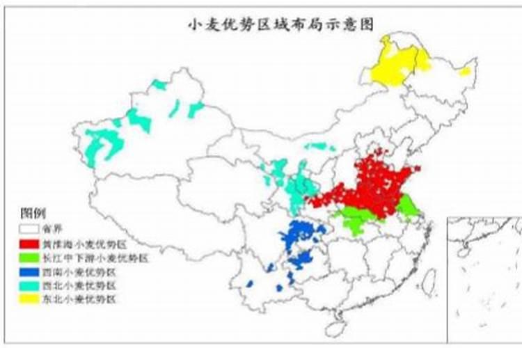 小麦灌浆期打什么叶面肥