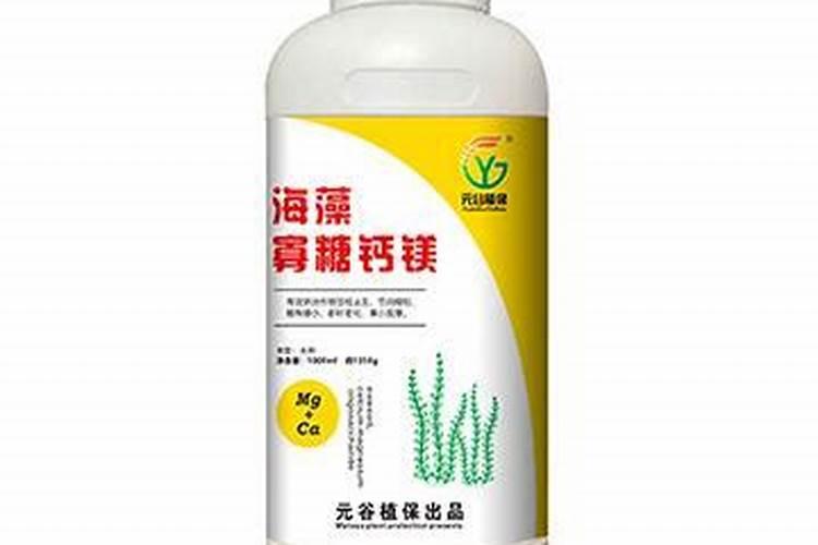 糖醇和低聚糖在工业生产中的作用