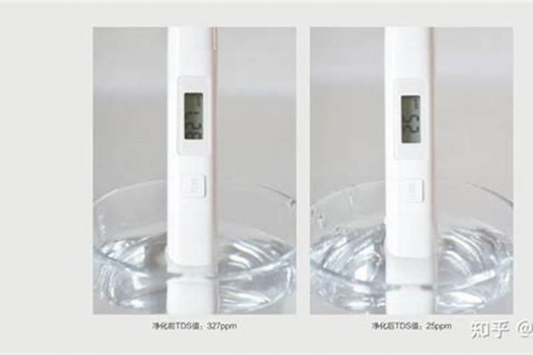 赤霉素的作用是什么？