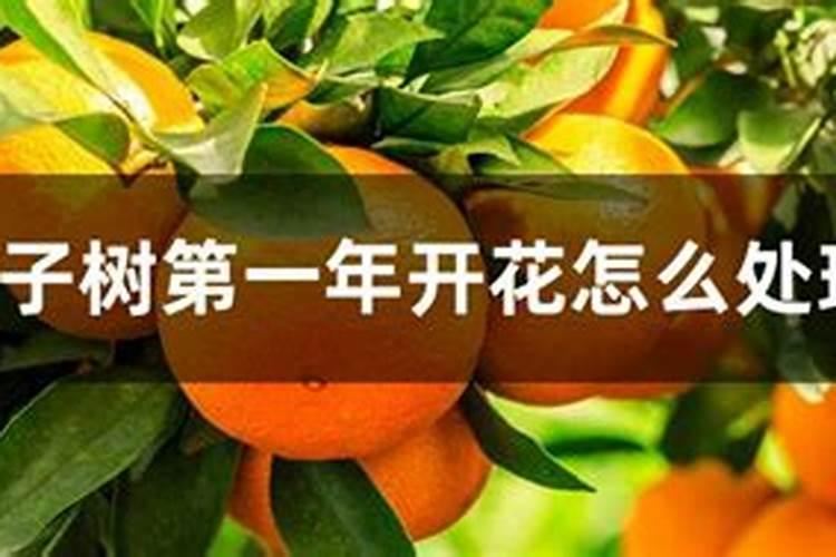 脐橙复合肥施肥方法