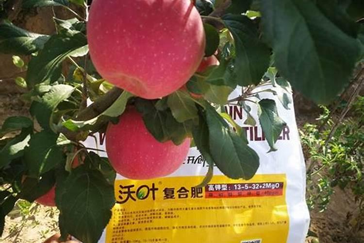 苹果用什么水溶肥好