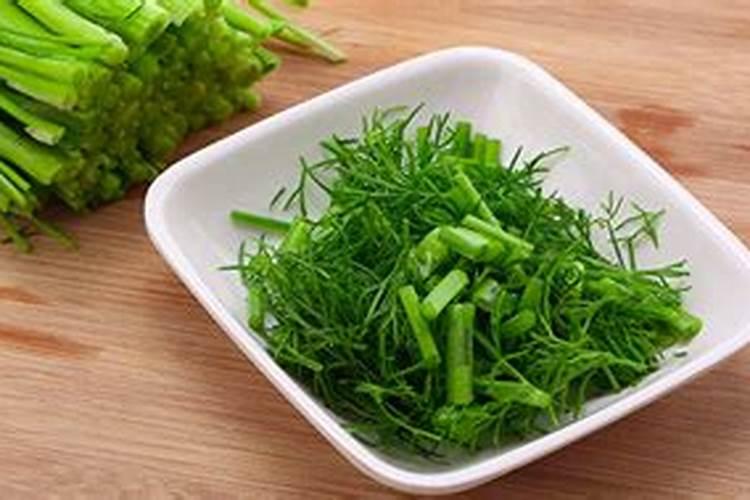 香菜小苗黄叶打什么药？